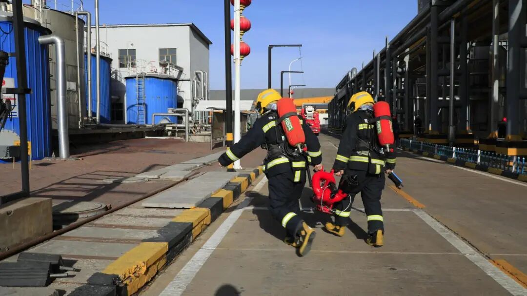 1764723047523653.jpg 3.1.jpg