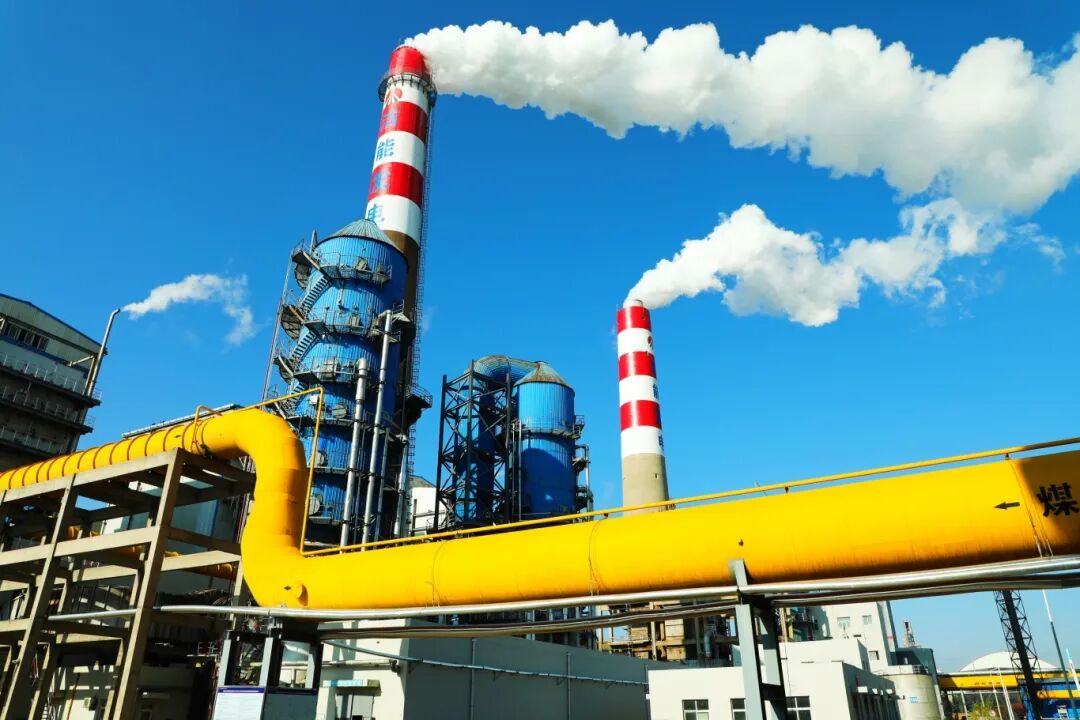 1764916361115282.jpg 1.jpg