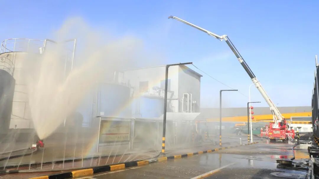 1764917668783996.jpg 5.1.jpg