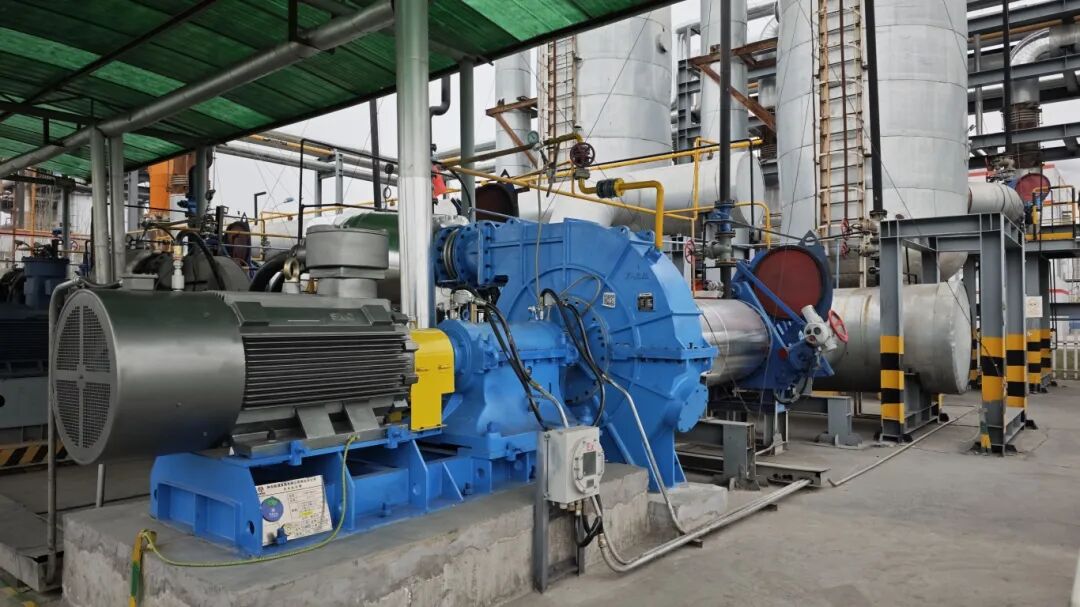 1764917677628436.jpg 5.2.jpg