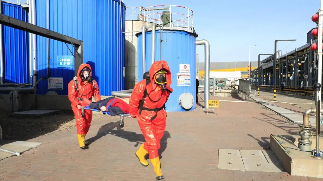 1764917984106835.jpg 7.2.jpg