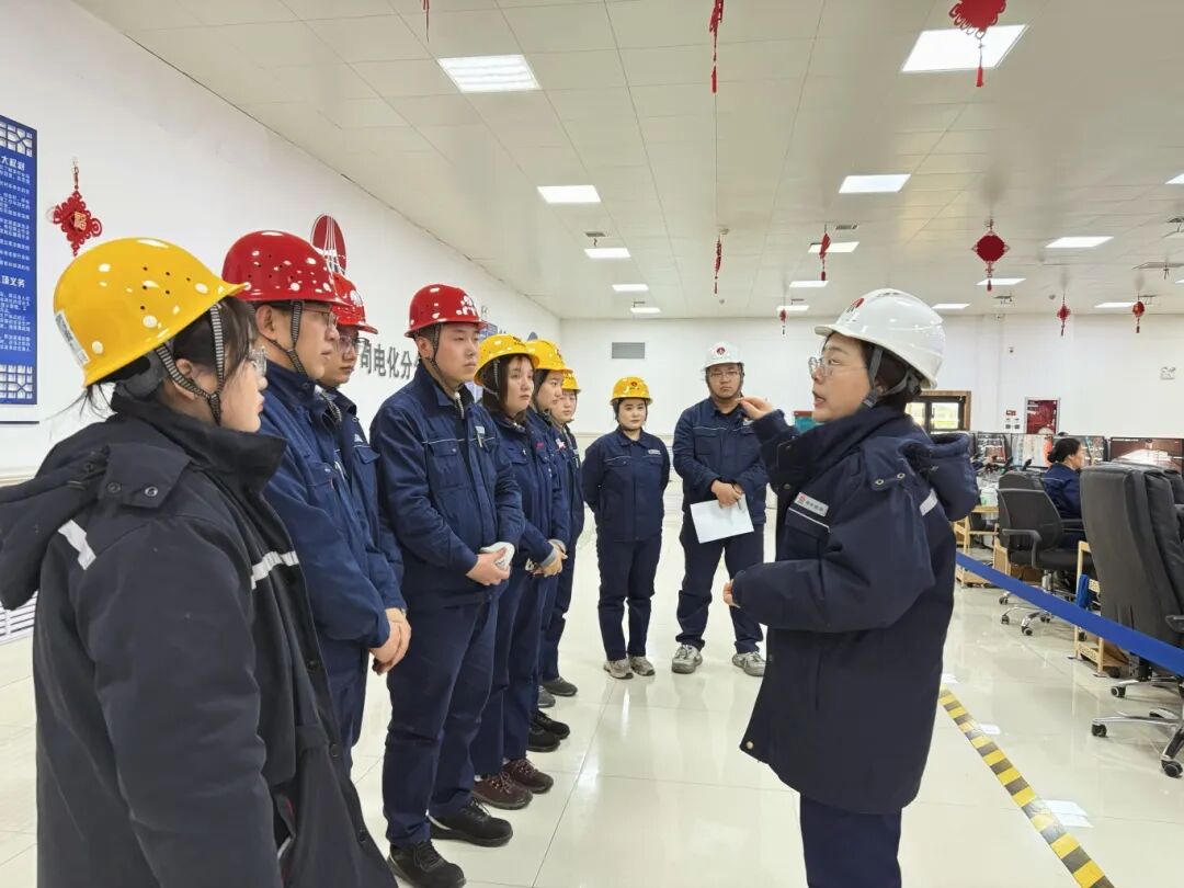 1765239036981597.jpg 3.1.jpg