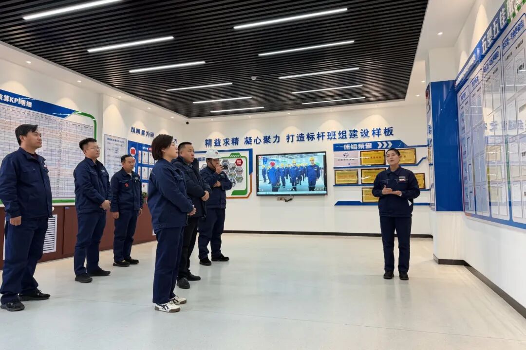 1765239055696426.jpg 3.2.jpg