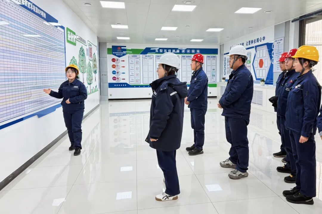 1765239067859043.jpg 3.3.jpg