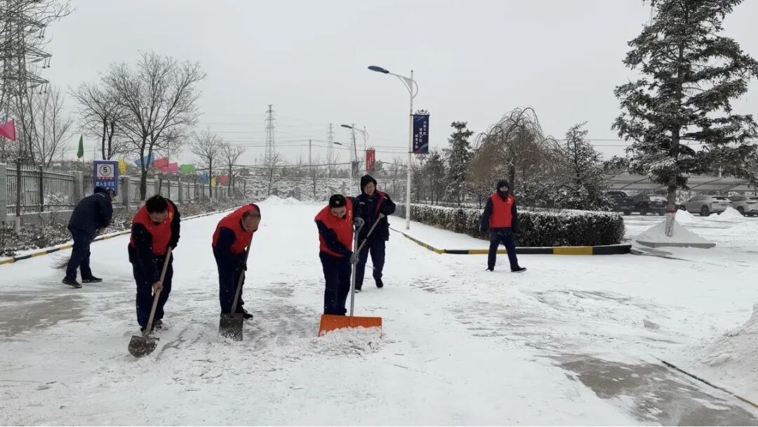 1765759029388146.jpg 3.1.jpg