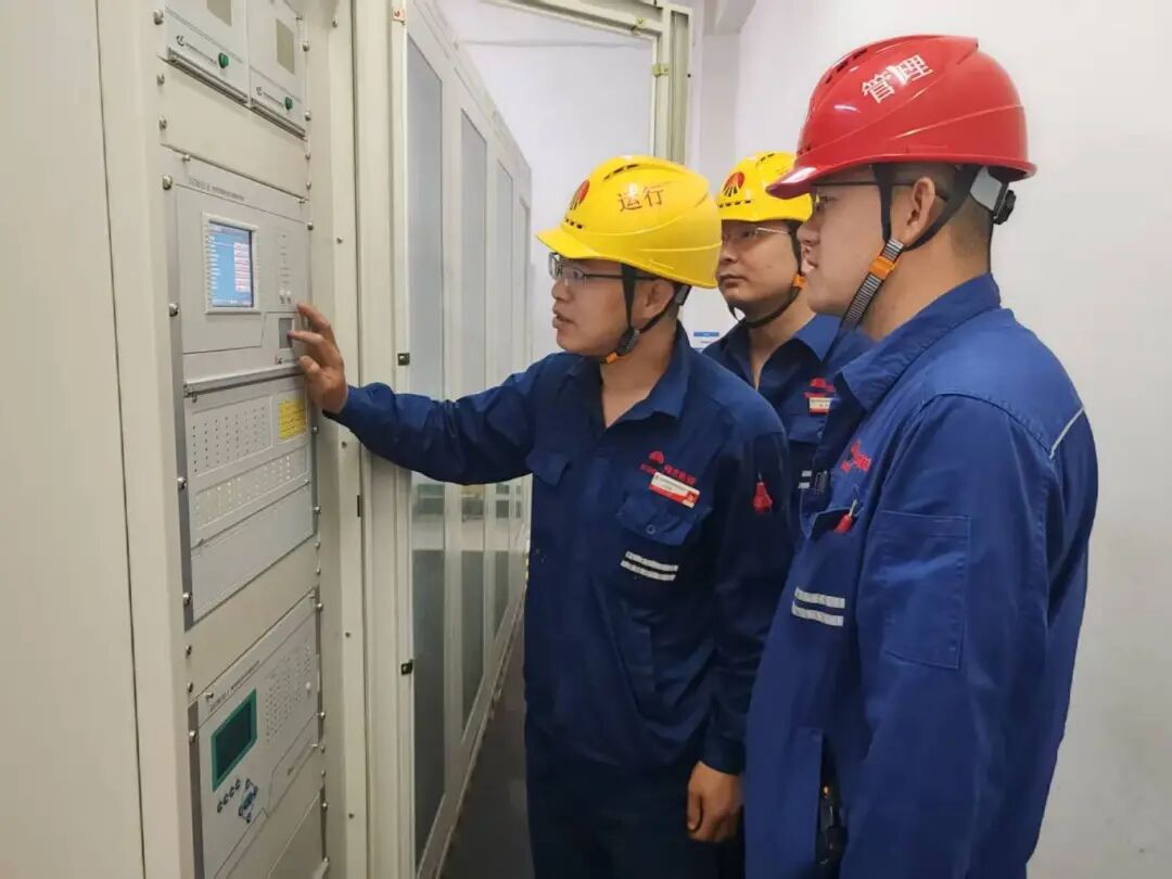 1765960798420420.jpg 2.1.jpg