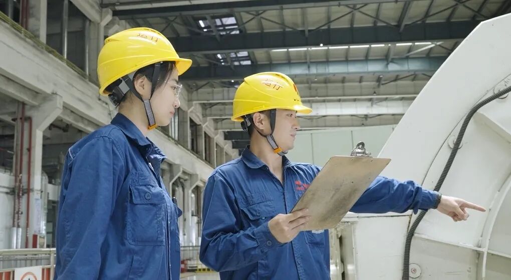 1767664752831890.jpg 2.2.jpg