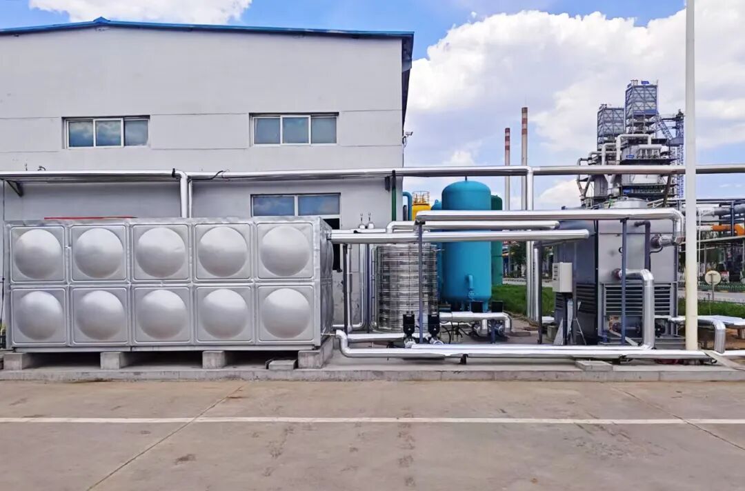 1769658820882022.jpg 2.1.jpg