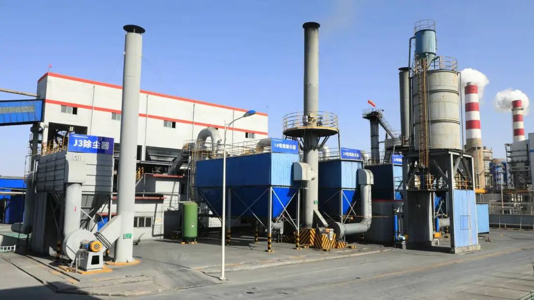 1769658829116555.jpg 2.2.jpg