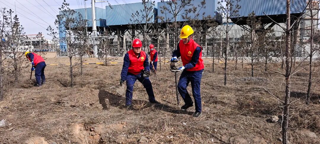 1772887095355356.jpg 640 (1).jpg