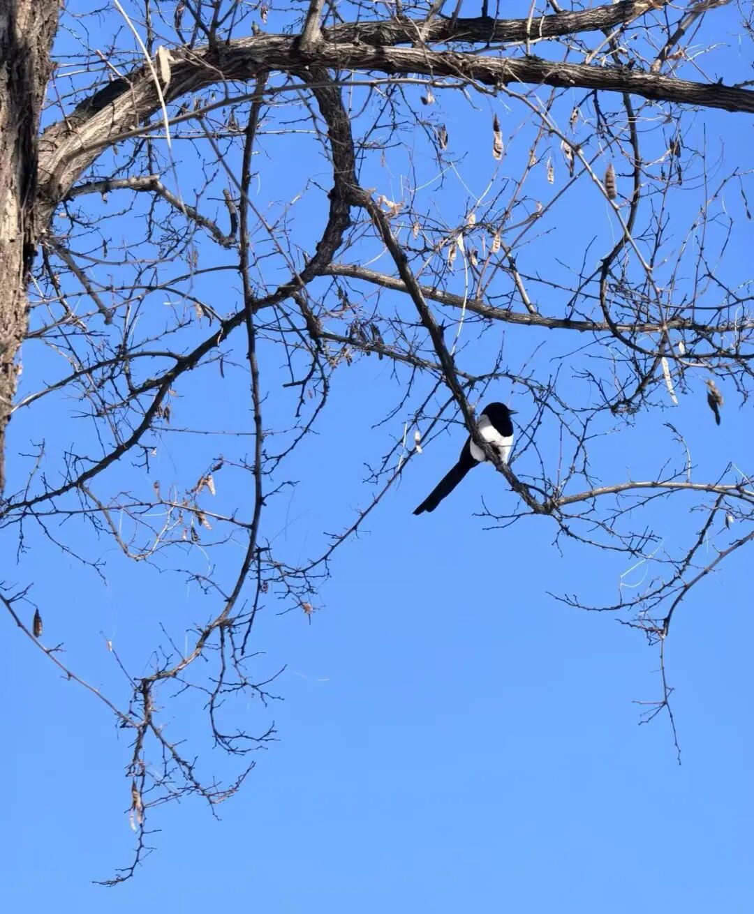 1774397323689153.jpg 640 (3).jpg