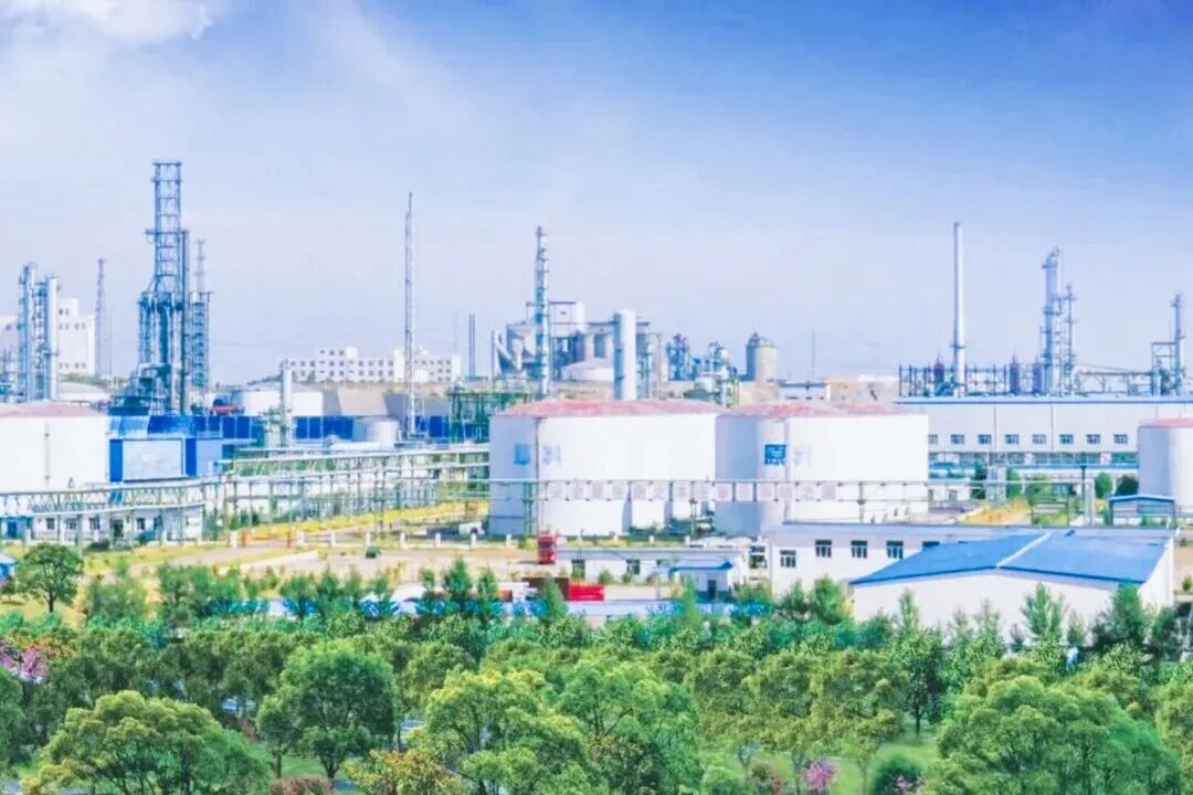 1774569872608082.jpg 640.jpg